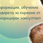 Lactation consultant
